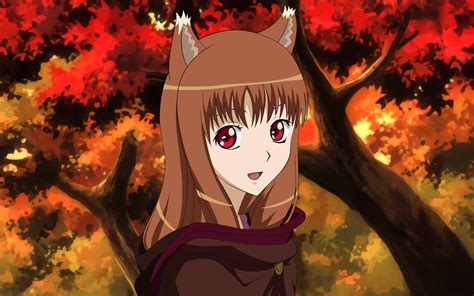 spice  wolf full hd wallpaper  background image