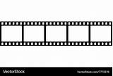 Film Roll Template Vector Vectorstock Negative Vectors Royalty sketch template