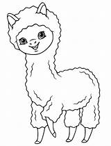 Alpaca Alpacas sketch template