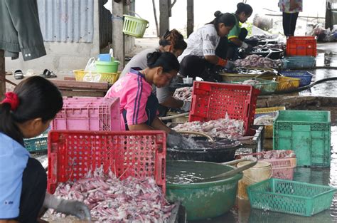 Taking Thailand To Task For High Seas Slavery La Times