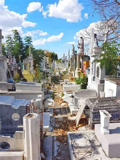 How To Visit Merida S Cementerio General Main Cemetery