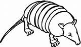 Armadillo Coloring Pages Animal Printable Sectioned Popular Sheet sketch template
