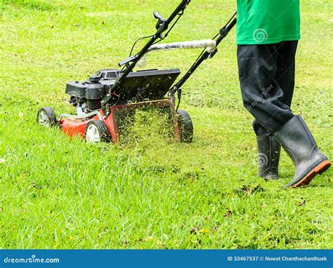 worker mowing grass stock image image  cleaning motion
