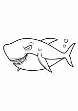 Kolorowanki Sharks Wydruku Rekiny sketch template