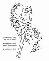 Carving Wood Patterns Printable Pattern Kasco Burning Designs Birds Tracing Outline Woodworking Avery Nice Animals sketch template
