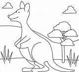 Coloring Kangaroo Coloringbay Pages sketch template