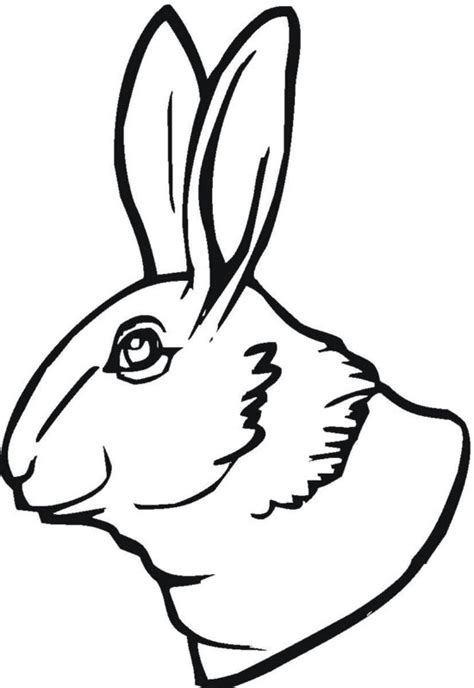 bunny coloring pages  kids updated