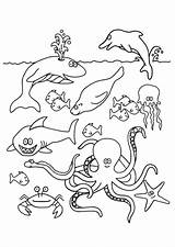 Vissen Kleurplaten Dieren Poisson Fisch Unterwassertiere Kleurplatenwereld Ikan Mewarnai Pesce Pesci Animasi Bergerak Animaatjes Animali Kleurplaatjes sketch template