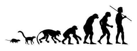 fakta teori evolusi darwin terbaru misteri fakta  fenomena
