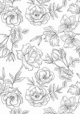 Floral Pages Colouring Printable Sheets Coloring Flower Adult Pattern Wallpaper Drawing Flowers Printables Color Gatheringbeauty Visit Patterns Choose Board Vintage sketch template