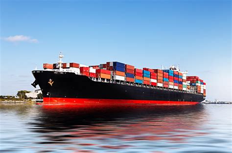 professional freight forwarder  ddp shipping  china