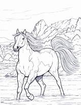Cavalos Colouring Drawing Bestcoloringpagesforkids Caballos Za Cavalo Pesquisa Bojanje Stranice Konja Odrasle Rider Horeses Andalusian sketch template