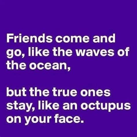 Funny Quotes About Best Friends Being Crazy Image Quotes
