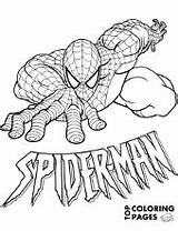 Spiderman Coloring Amazing Spider Man Print Pages Color Sheet Marvel Logo Topcoloringpages Boys Books Votes sketch template