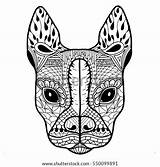 Bulldog Terrier Boston Blank Adult French Coloring Shutterstock Vector Zentangle Stock Preview sketch template