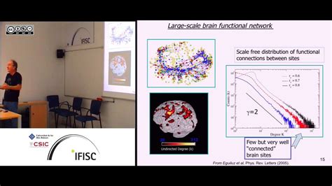Criticality In Brain S Physics And Mind Dynamics Youtube
