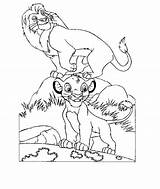 Leeuwenkoning Colorare Leone Roi Mewarnai Coloriages Animasi Simba Bergerak Colouring Animaatjes Colorier Animate Ecard sketch template