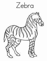 Stallion Preschool sketch template