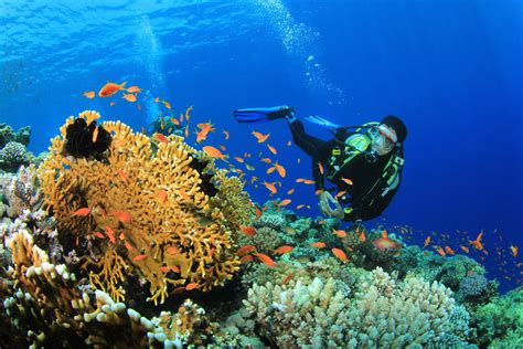places  scuba diving  andaman   land  beauty