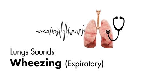wheezing expiratory lung sounds medzcool youtube