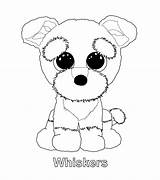 Coloring Beanie Ty Pages Boo Boos Dog Baby Cute Kleurplaten Party Babies Kids Printable Puppy Toys Colouring Print Sheets Drawing sketch template