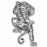 Tiger Tattoo Coloring Pages Tribal Animal Printable Mandala Favecrafts Template Tattoos Print Drawing Adult Book Head Sheets Getcolorings Getdrawings Style sketch template