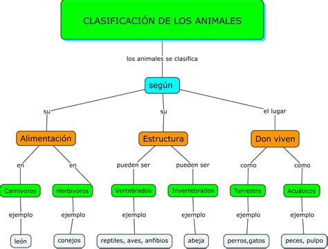 mapa conceptual del reino de los animales taxonomia clasificacion