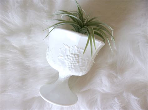 24 Stylish Westmoreland Milk Glass Vase Decorative Vase Ideas