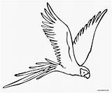 Parrot Coloring Flying Printable Cool2bkids Birds Drawing Bird Drawings Wings Animals Creativity Animal sketch template