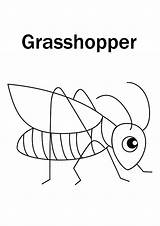 Grasshopper Coloring Pages Books Printable Last sketch template
