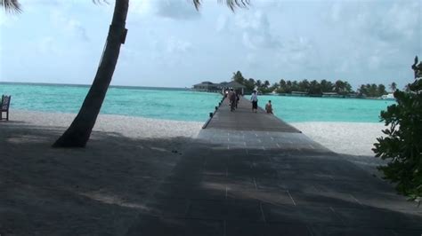 maldiveshotel sun island resort  spa youtube