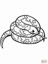 Schlange Snakes Kleurplaten Serpenti Schlangen Serpiente Ausmalen Colorear Serpente Enrollada Attorcigliato Slang Ausmalbild Disegno Coiled Sheet Animali Kleurplaat Serpientes sketch template
