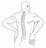 Back Spine Outline sketch template
