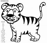Tiger Colorings sketch template