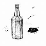 Beer Bottle Sketch Illustration Vector Splash Glass Style Isolated Preview sketch template