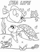 Ocean Colorings sketch template