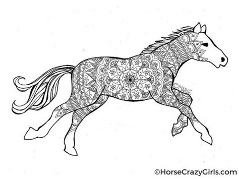 horse coloring pages  printables