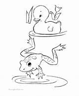 Tadpole Coloring Colouring Frog Pages Getcolorings Cute sketch template