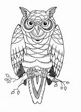 Coruja Corujas Stencils Owls Idea Burung Buho Stencil Hantu Tatuaje Rama Búho Pngwing Nicepng sketch template