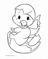 Easter Coloring Cute Pages Duck Print Bunny sketch template
