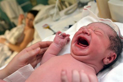 apgar score  newborn babys  test