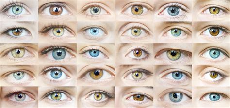 eye color trivia vision source  hendersonville