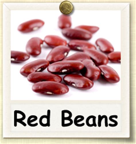 grow red beans guide  growing red beans