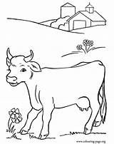 Coloring Pages Cow Printable Cows Animal Pasture Farm Calves Colouring Clipart Cute Walking Books Jersey Drawings Animals Drawing Kids Choose sketch template