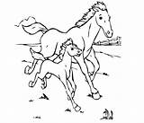 Horse Cavalo Running Colorir Cavalos Caballos Foal Coloringhome Animais Daddy sketch template