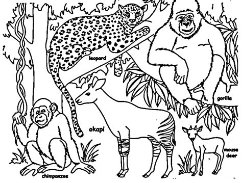 jungle animals coloring pages
