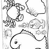 Oceanography Coloring sketch template