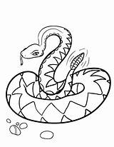 Coloring Snake Pages Drawing Snakes Coiled Rattlesnake Rattle Printable Printables Color Pdf Print Animal Kids Clipart Animals Getdrawings Board Paintingvalley sketch template