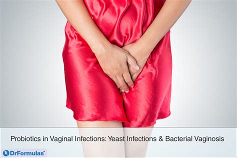 probiotics for vaginal infections yeast infections and more drformulas