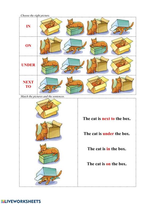 prepositions  place interactive worksheet   prepositions